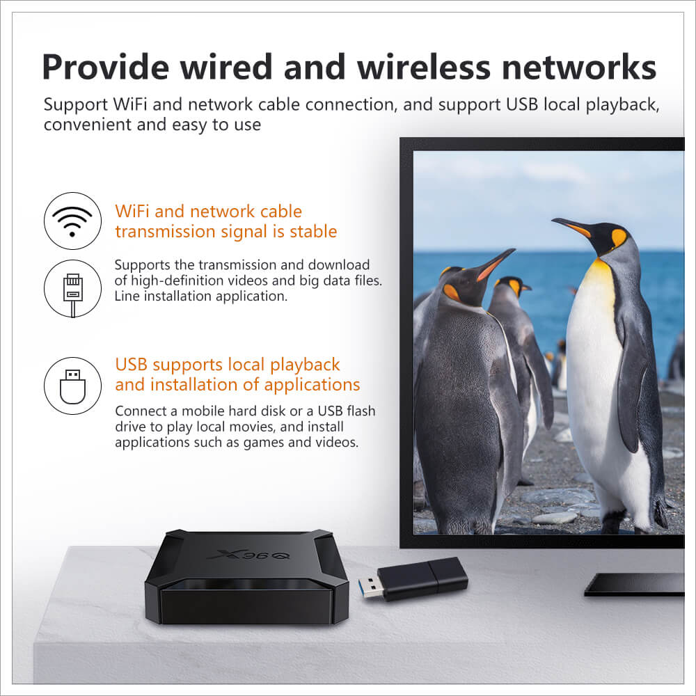 OEM X96Q Allwinner H313 iptv box